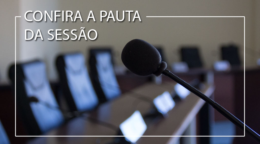 Confira a pauta da 15ª sessão ordinária que será realizada hoje (04)