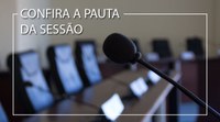 Confira a pauta da 15ª sessão ordinária que será realizada hoje (04)