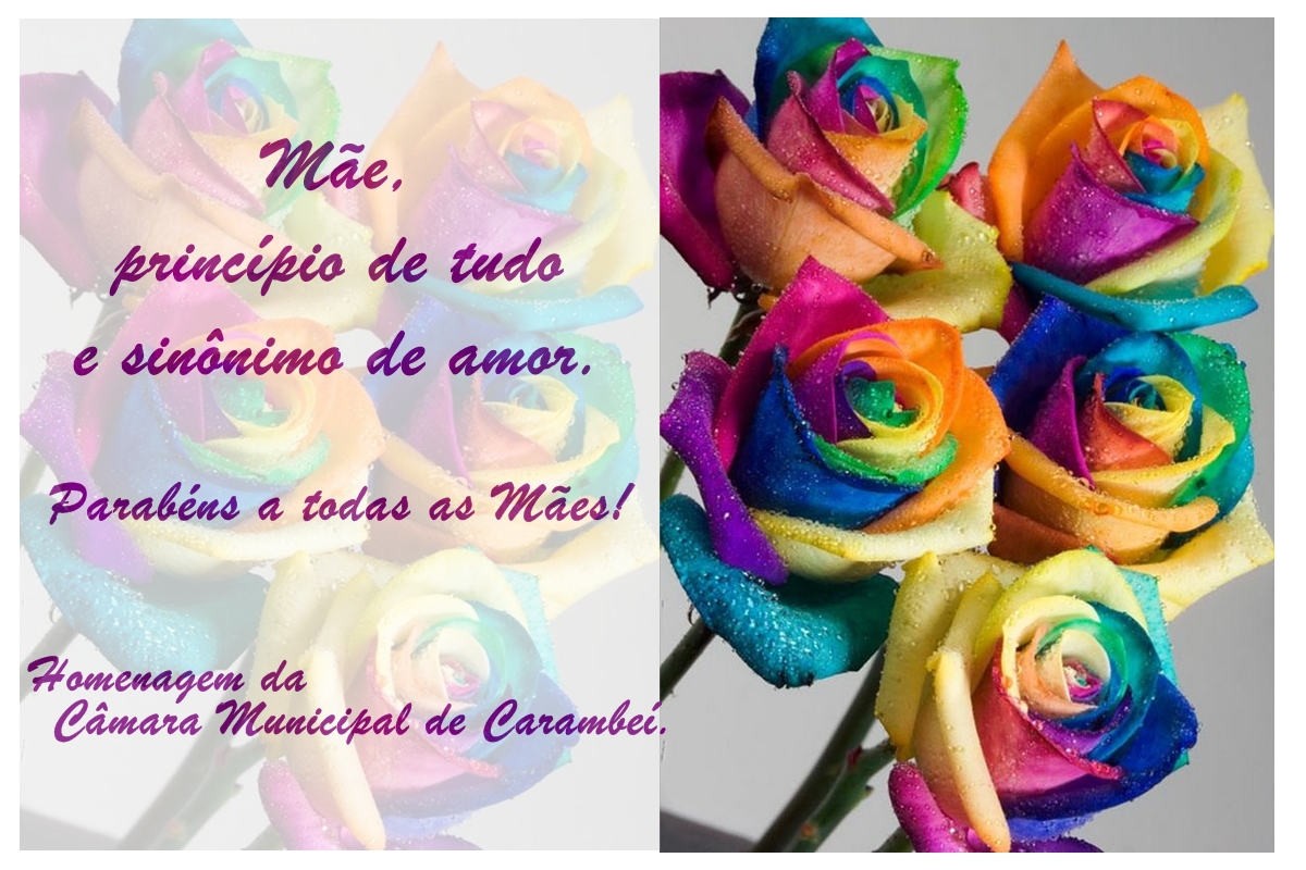 Feliz dia das Mães!